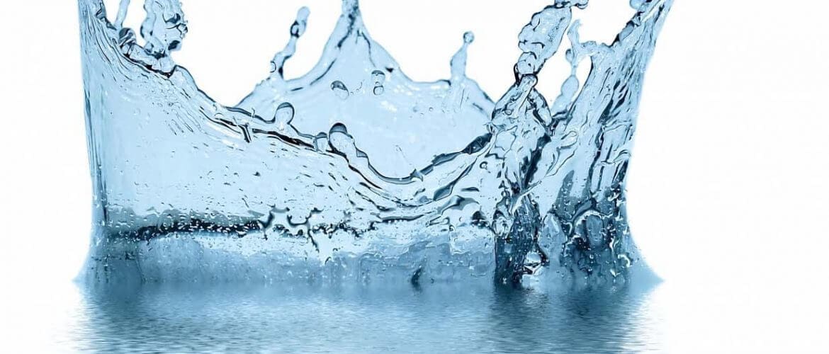 Birdland Flood Services